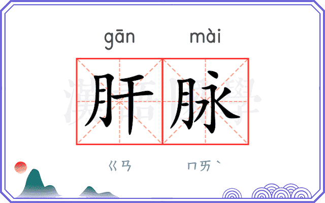 肝脉