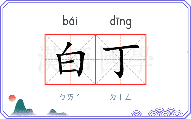 白丁