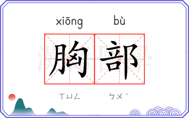 胸部