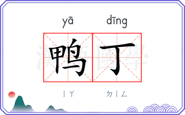 鸭丁