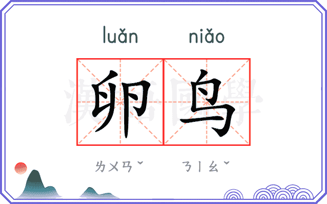 卵鸟