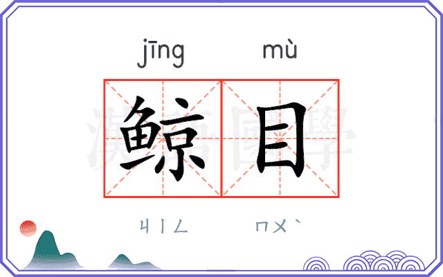 鲸目