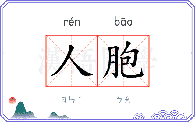 人胞