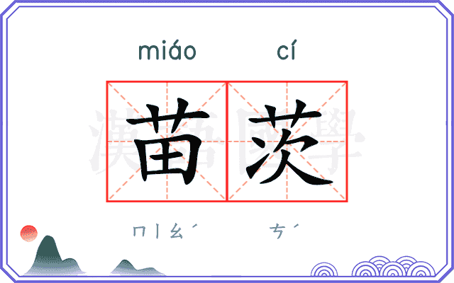 苗茨