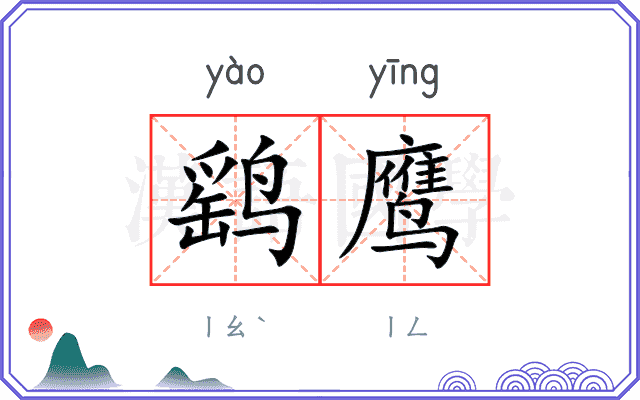 鹞鹰