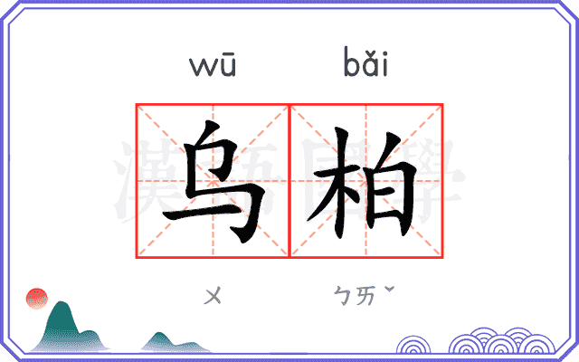 乌柏