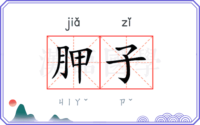 胛子