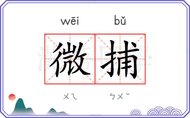 微捕