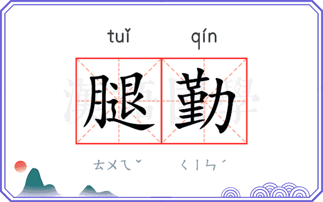 腿勤