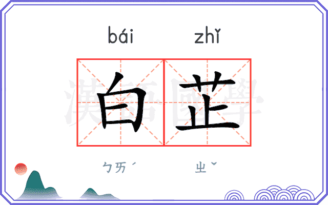 白芷