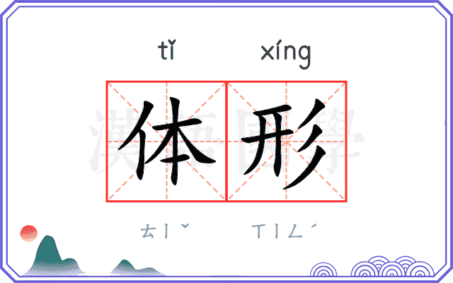 体形
