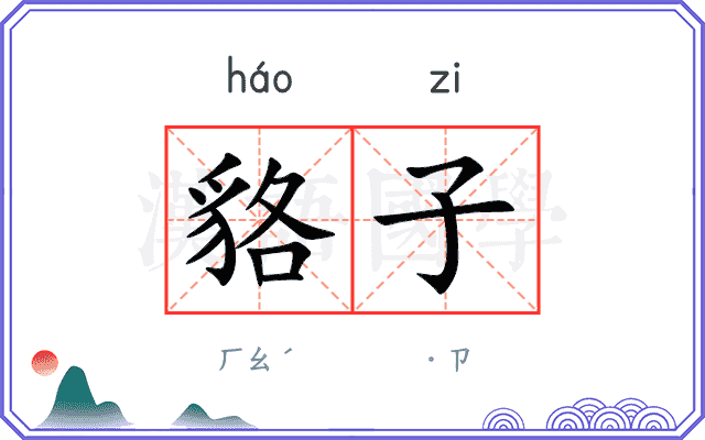 貉子
