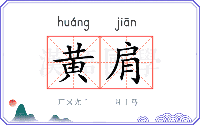 黄肩