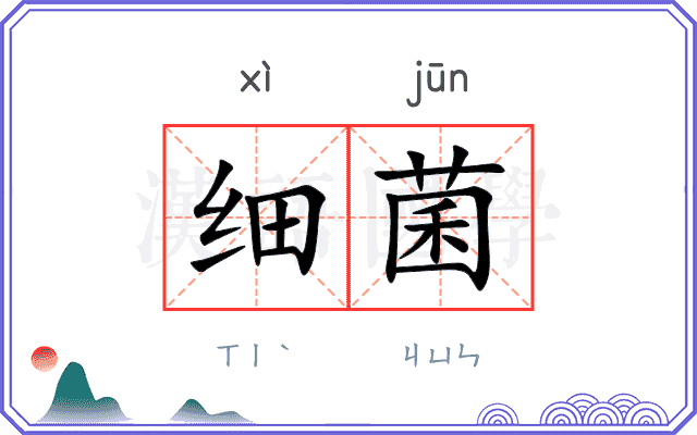 细菌