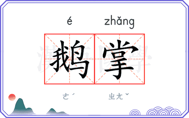 鹅掌