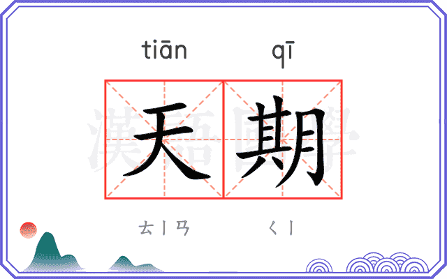 天期