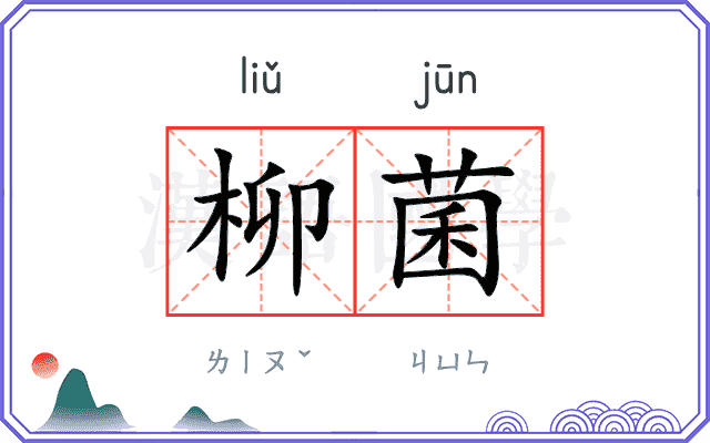 柳菌