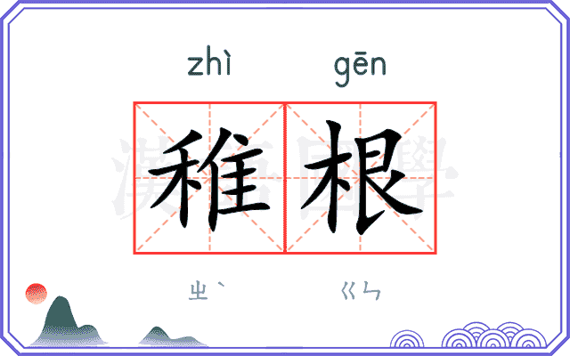 稚根