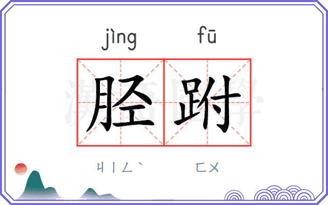 胫跗