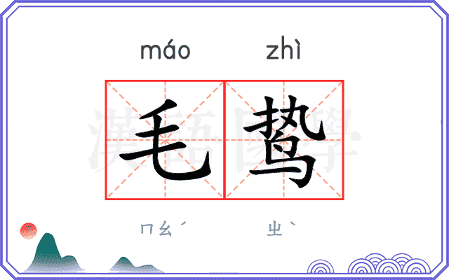 毛鸷