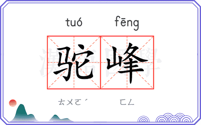 驼峰