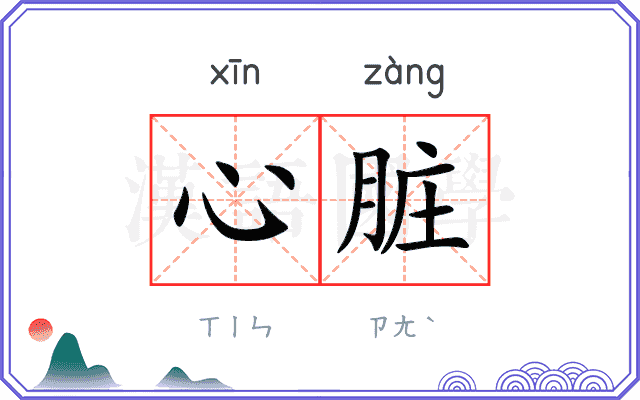 心脏