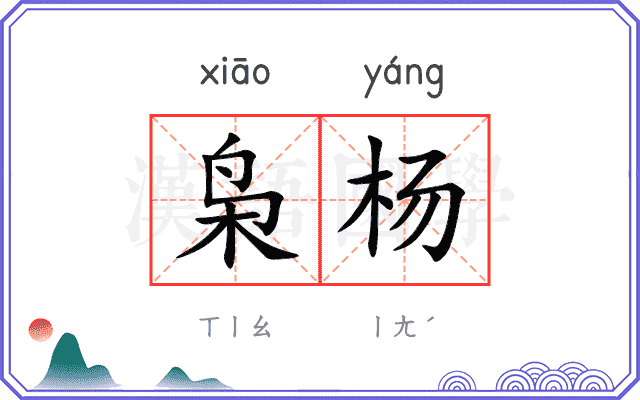枭杨