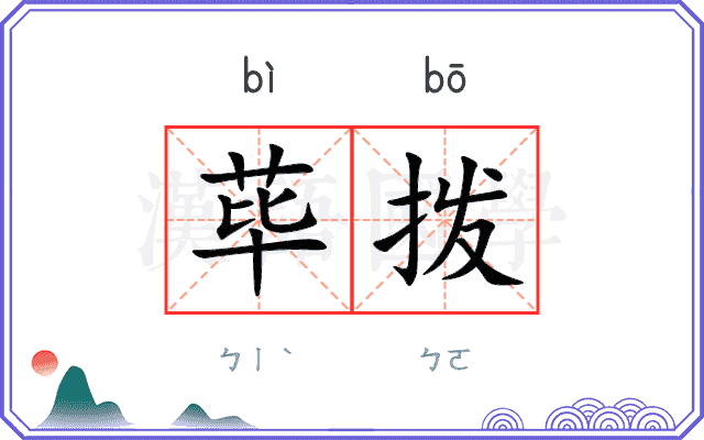 荜拨