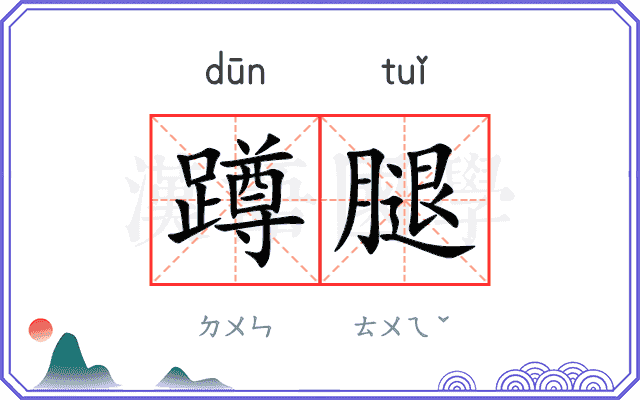 蹲腿