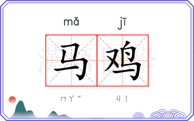 马鸡