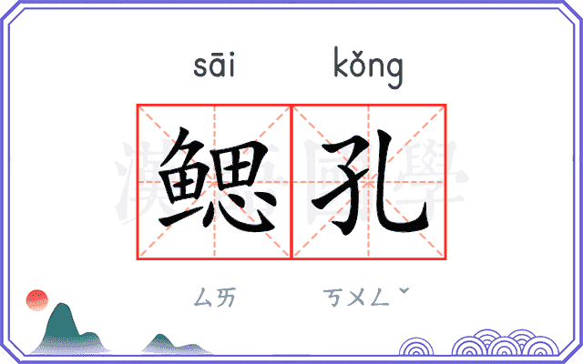 鳃孔