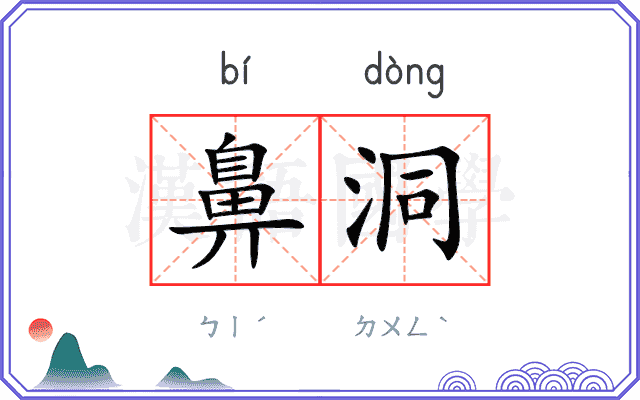 鼻洞