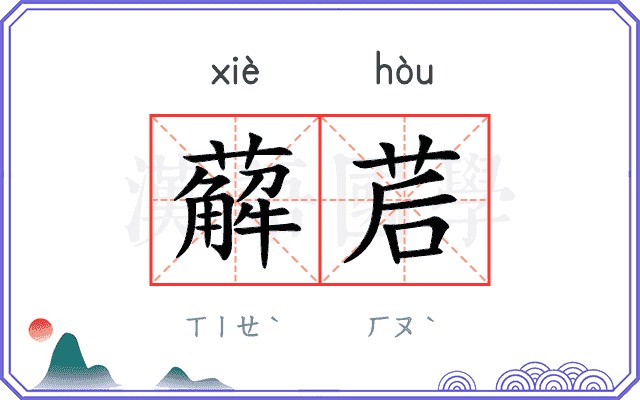 薢茩