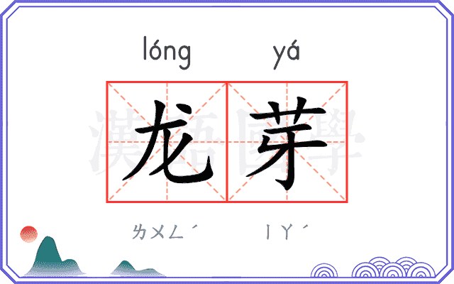 龙芽
