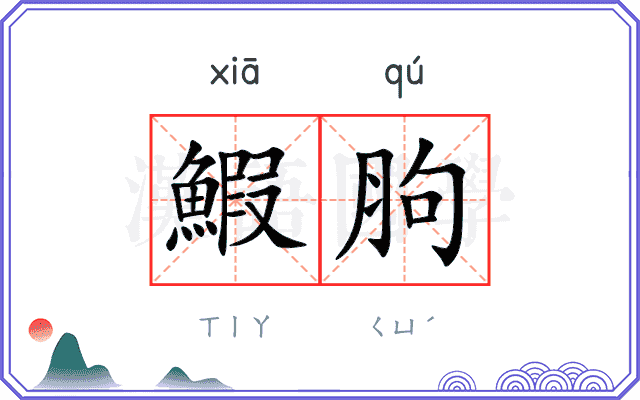鰕胊