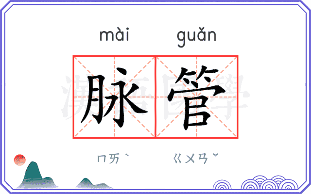 脉管