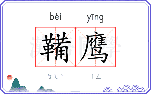 鞴鹰