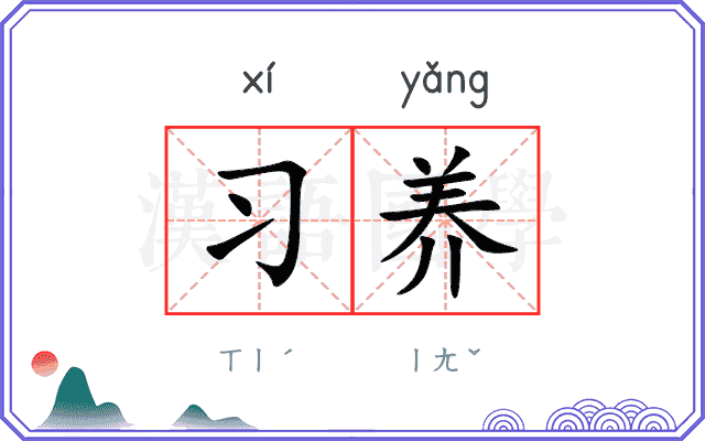 习养