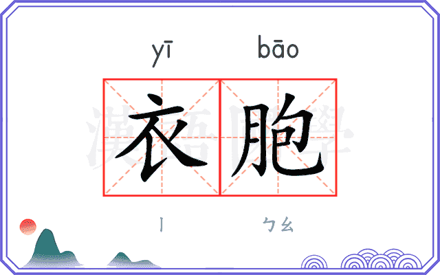 衣胞