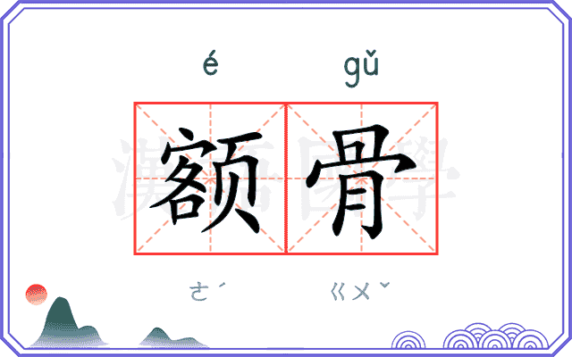 额骨