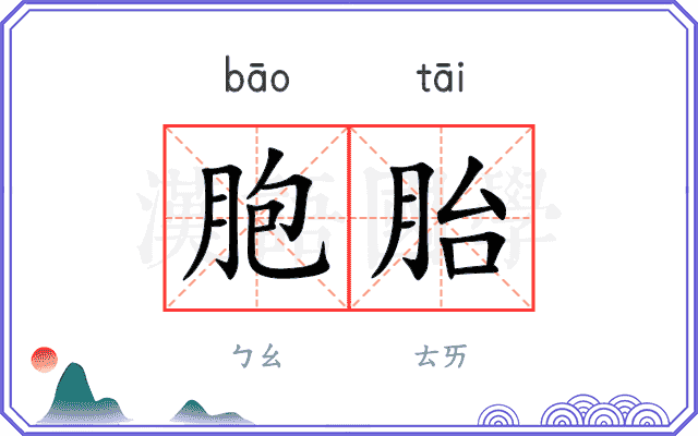 胞胎