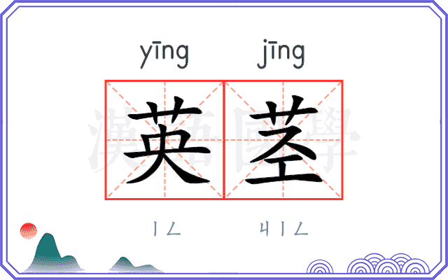 英茎