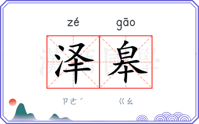 泽皋