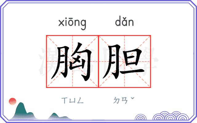 胸胆