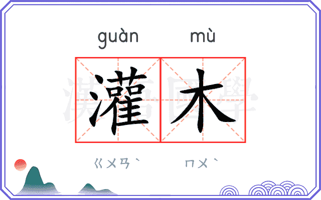 灌木
