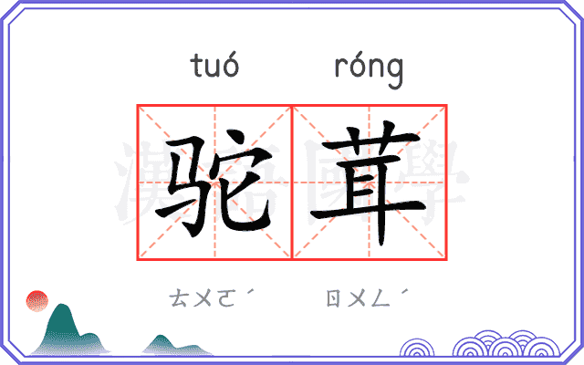 驼茸