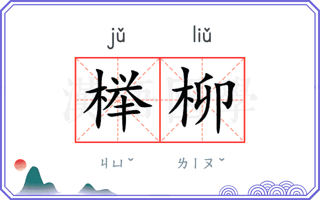 榉柳