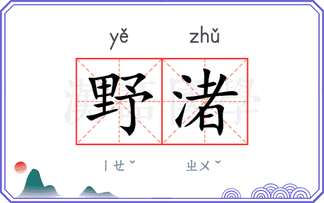 野渚