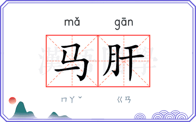 马肝