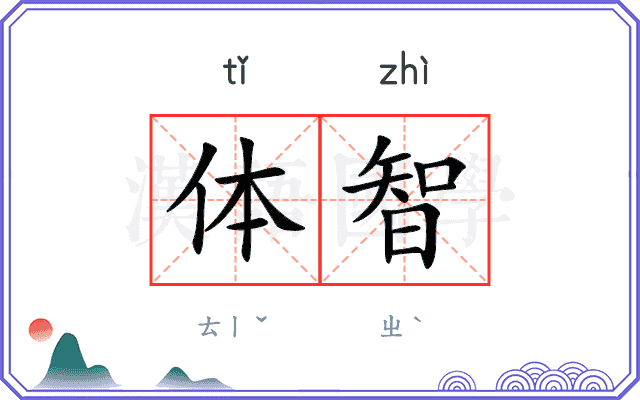 体智